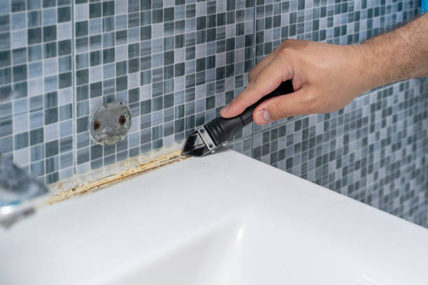Best Certified Mold Removal  in Park Ridge, NJ
